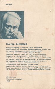Год Кита
