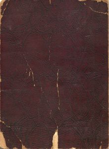 New Pictorial Atlas Of The World