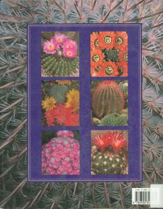 Cacti: The Illustrated Dictionary