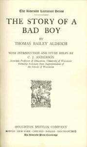 The Story Of A Bad Boy