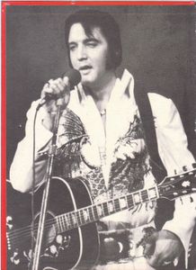 Elvis Special 1976 - An Elvis Monthly Special