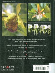 Four Seasons Of Orchids