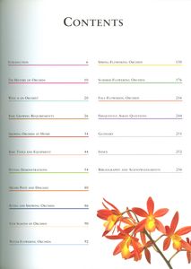 Four Seasons Of Orchids