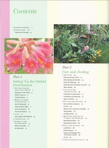Understanding Orchids