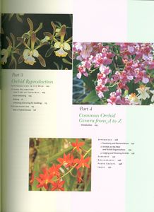 Understanding Orchids