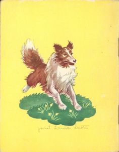 Rover