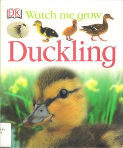 Duckling
