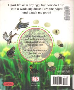 Duckling