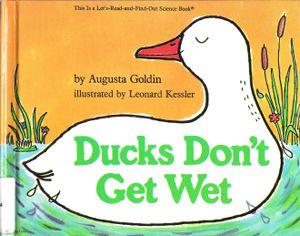 Ducks Don't Get Wet