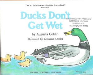 Ducks Don't Get Wet