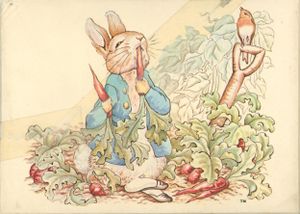 The Beatrix Potter Collection
