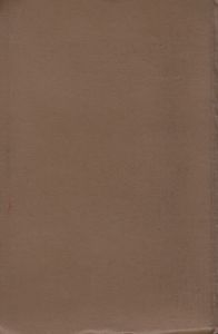 Поджигатели. Книга Первая