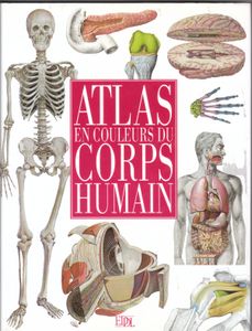 Atlas En Couleurs Du Corps Humain
