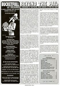 Bucketfull of Brains: Issue 38