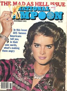 National Lampoon: The Mad As Hell Issue