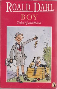 Boy: Tales of Childhood