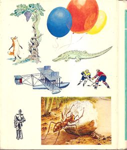 The Young Children's Encyclopedia