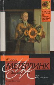 Жизнь Пчел