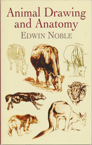 Animal Drawing and Anatomy