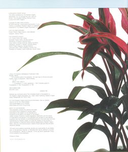 The Complete Guide to Houseplants