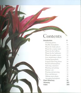 The Complete Guide to Houseplants