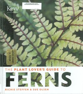 The Plant Lover's Guide To Ferns