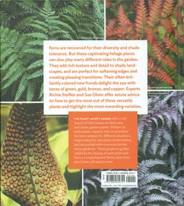 The Plant Lover's Guide To Ferns