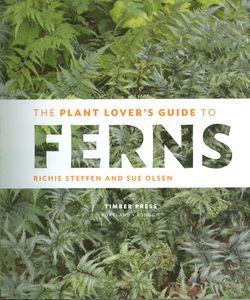 The Plant Lover's Guide To Ferns