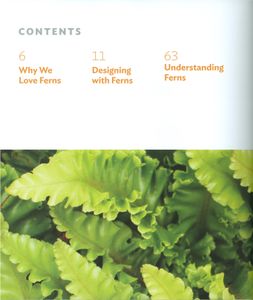 The Plant Lover's Guide To Ferns