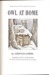 Owl At Home