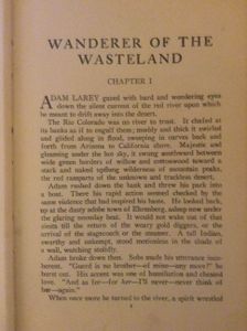 Wanderer of the Wasteland