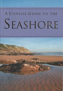 A Concise Guide To The Seashore