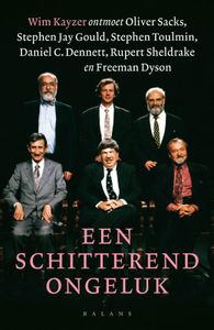 Een schitterend ongeluk