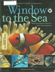 Window to the Sea