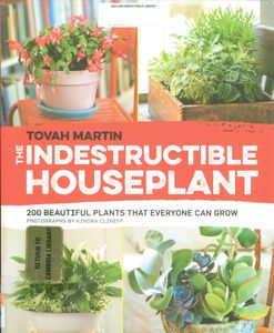 The Indestructable Houseplant