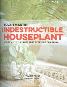 The Indestructable Houseplant