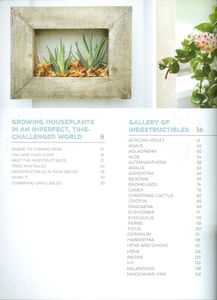 The Indestructable Houseplant