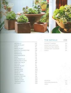 The Indestructable Houseplant