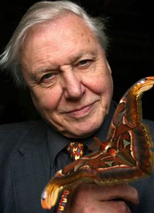 David Attenborough