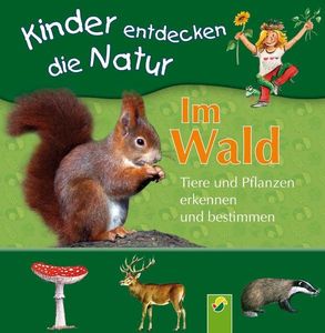 Im Wald: Tiere und Pflanzen erkennen und bestimmen