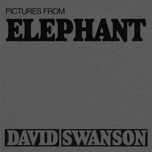 Pictures From Elephant