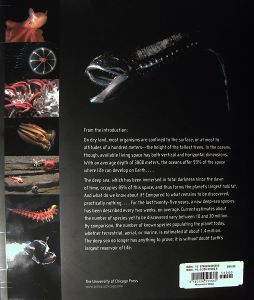 The Deep: The Extraordinary Creatures of the Abyss