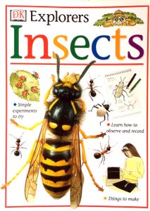 Insects
