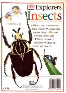 Insects