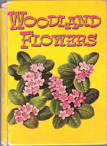 Woodland Flowers
