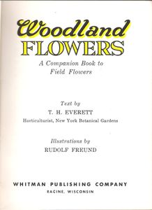Woodland Flowers