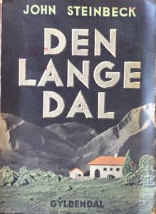 Den lange dal