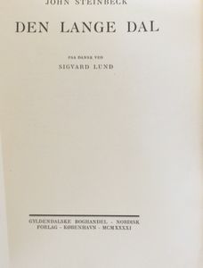 Den lange dal