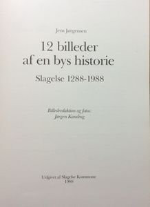 12 billeder af en bys historie