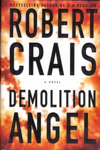Demolition Angel